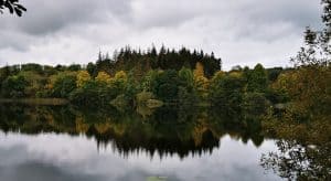 Ecoforestry Ecoplan Forestry