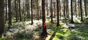 Forest Bathing: A Complete Guide 2 Forest Bathing Ecoplan