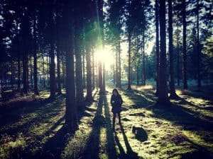 Forest Bathing: A Complete Guide 4 Forest Bathing Ecoplan