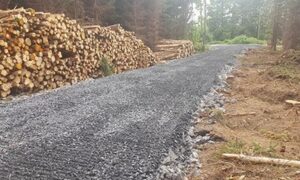 Forest Road Ecoplan Forestry
