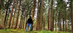 Woodland Management and Consultancy