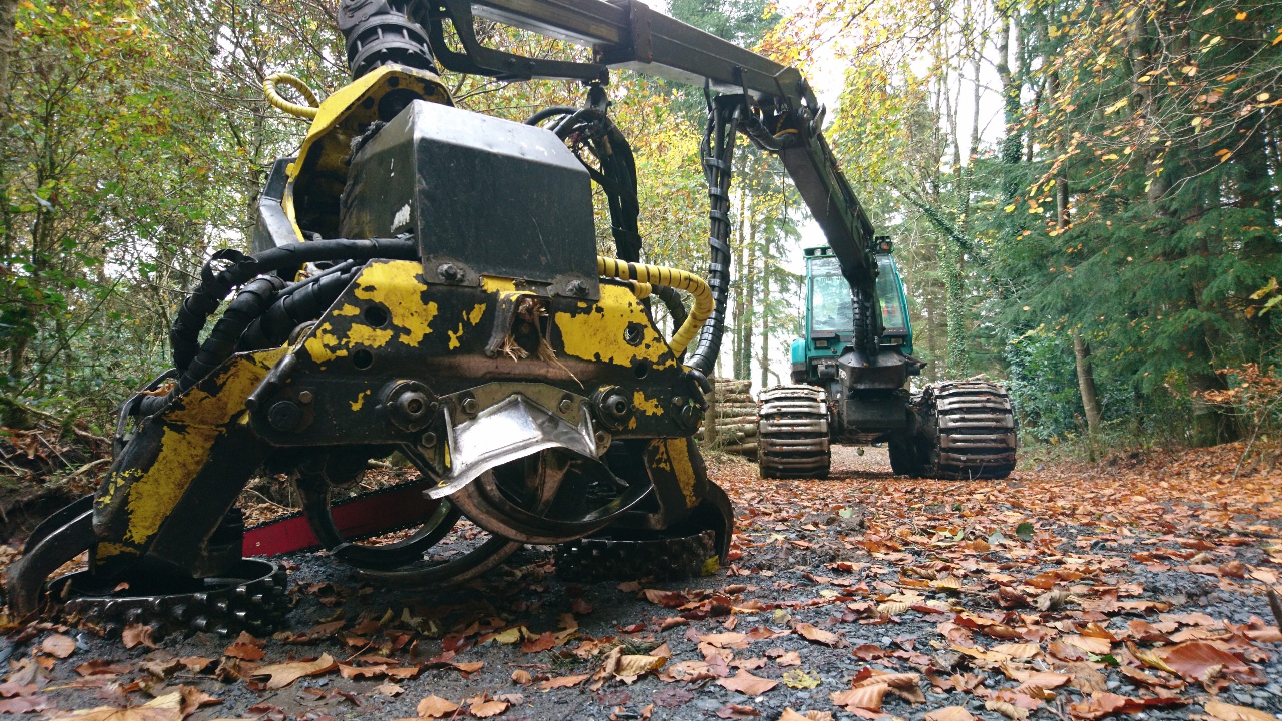 Close-up of a harvesting machine, with the harvesting head in the foreground