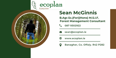 SeanMcGinnis Ecoplan Forestry