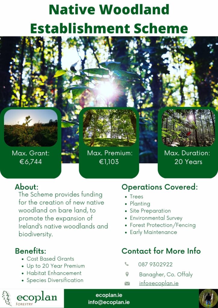 Native Woodland Establishment Scheme Infographic