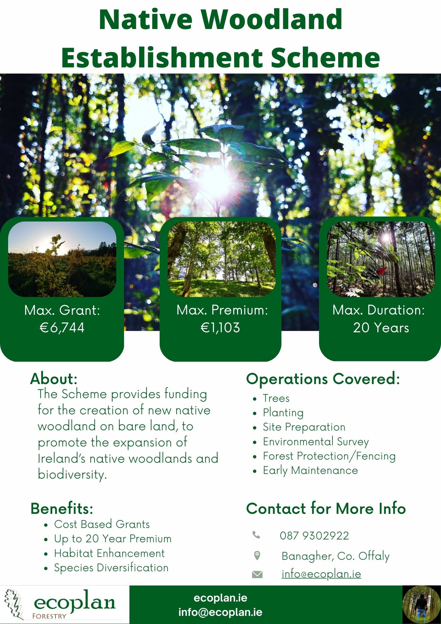 Native Woodland Establishment Ecoplan Forestry Native Woodland Establishment Ecoplan Forestry