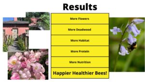 Bee Project Results