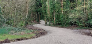 Forest Road winding through a woodland