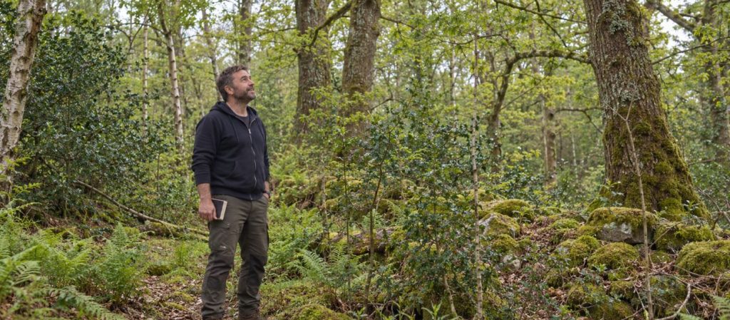 Forestry Advice in Ireland: Why Clear, Independent Stewardship Matters 3 Forester Sean McGinnis looking up into the woodland canopy, holding a field notebook.