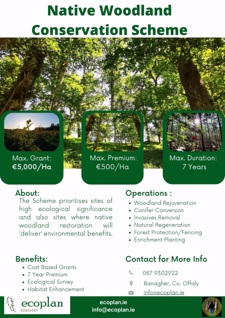 Native Woodland Conservation Scheme Infographic – forestry grants Ireland (Ecoplan Forestry)
