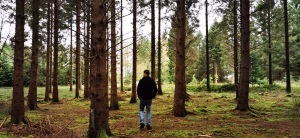 Beyond Trees: The Real Work of a Forester in Ireland 2 Sean McGinnis of Ecoplan Forestry assessing Commercial Conifer Plantation 2019