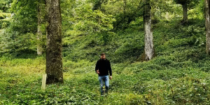 Beyond Trees: The Real Work of a Forester in Ireland 5 Sean McGinnis of Ecoplan Forestry assessing a mature native woodland in Ireland.
