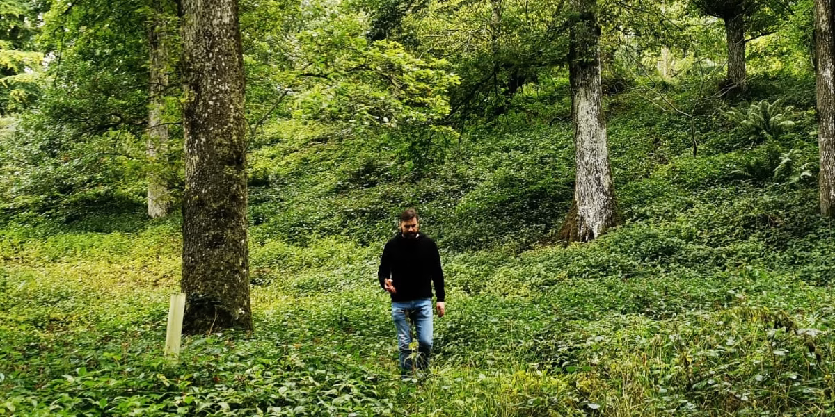 Forester Sean McGinnis of Ecoplan Forestry assessing a mature native woodland in Ireland.
