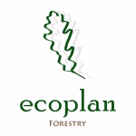 The Ecoplan Logo A Green Native Oak Leaf