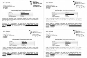 Native Woodland Conservation in Ireland 3 Forest Service payment approvals for four Native Woodland Conservation Scheme projects completed by Ecoplan Forestry in 2008, covering almost 40 hectares of native woodland.