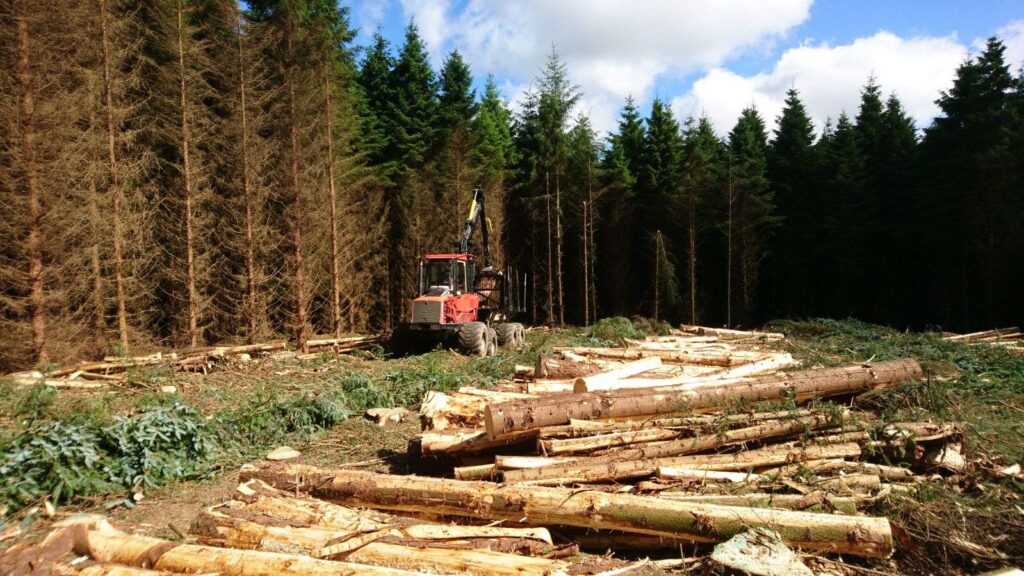 Beyond Trees (Part 3): The Reality of Forest Harvesting in Ireland 4 Forestry forwarder extracting timber during a thinning operation in Ireland